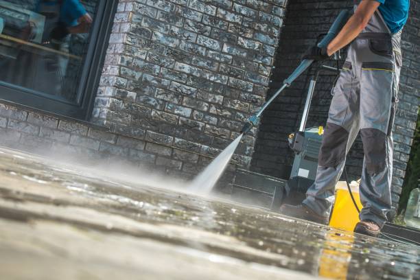 Animal Enclosure Cleaning in Mundelein, IL