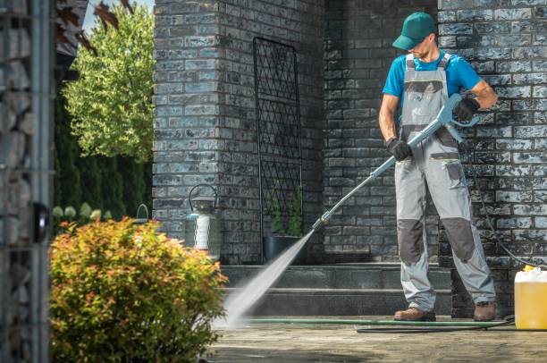 Best Animal Enclosure Cleaning  in Mundelein, IL